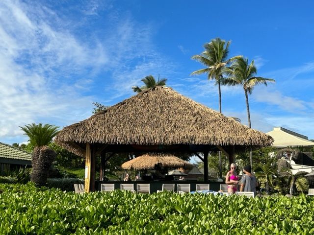 A thatched gazebo with palm trees in the background
