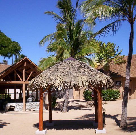 A gazebo with a thatched roof is surrounded by palm trees