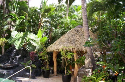 A thatched hut in the middle of a lush green forest