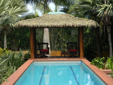 A swimming pool with a thatched gazebo in the background