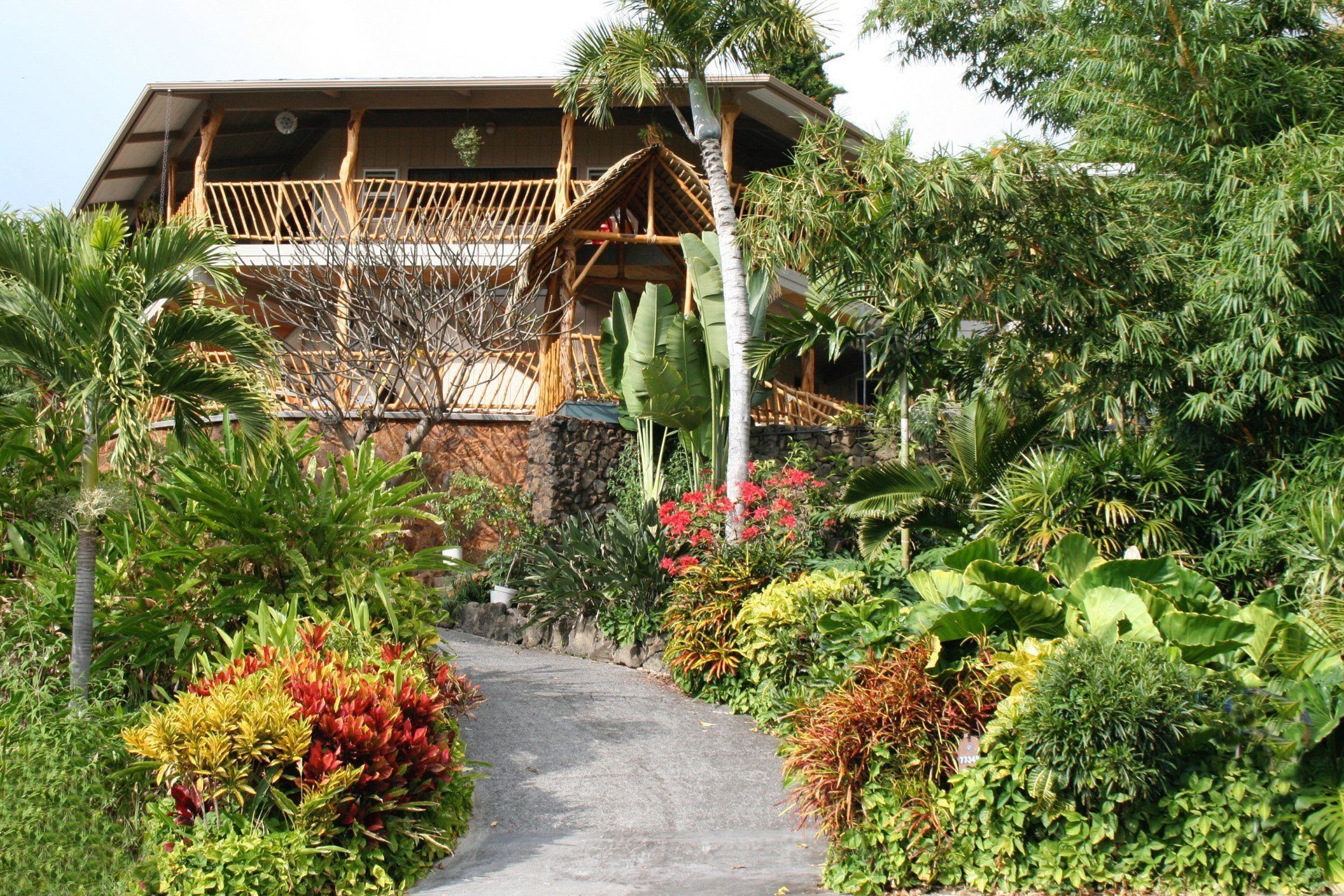 A house is surrounded by lots of plants and flowers