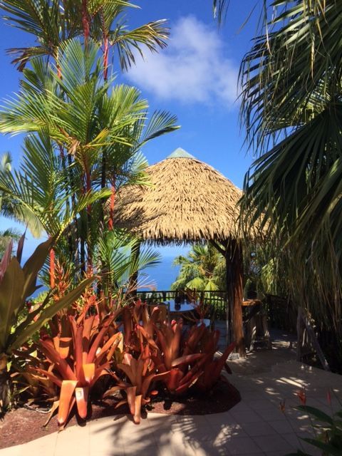 A thatched hut is surrounded by palm trees and plants