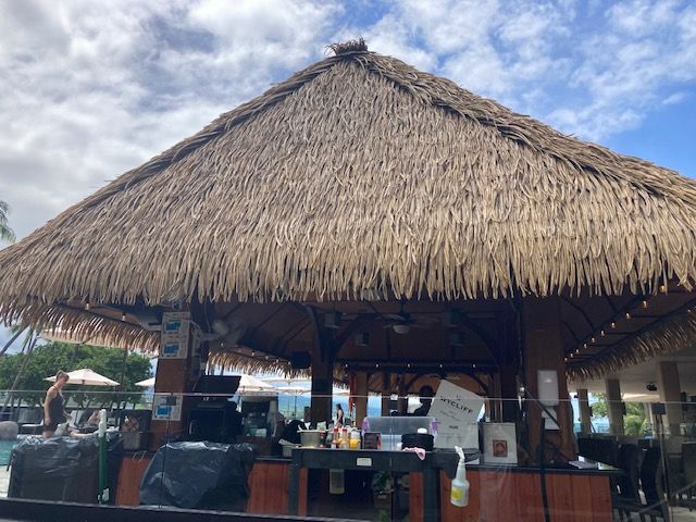 A thatched roofed building with a bar in front of it