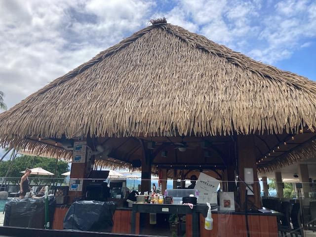 A thatched roofed building with a bar in front of it.