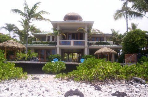 A large house with a thatched roof is surrounded by palm trees