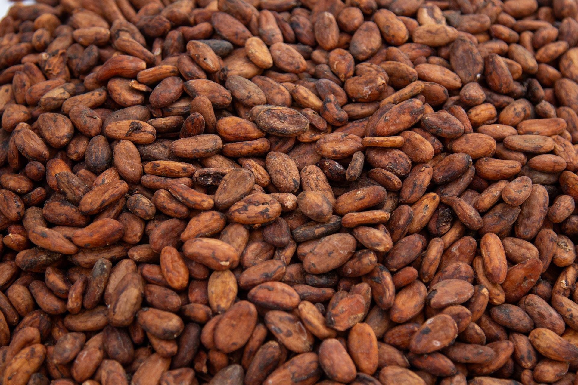 A pile of cocoa beans sitting on a table