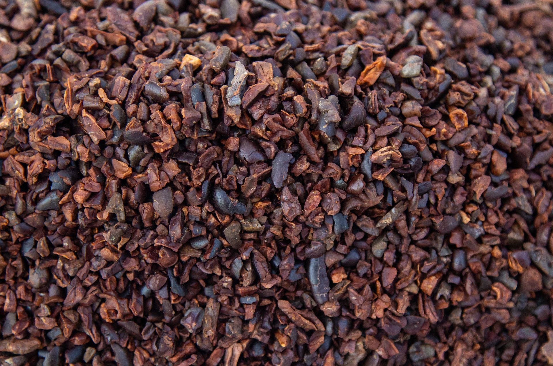 A close up of a pile of cocoa beans