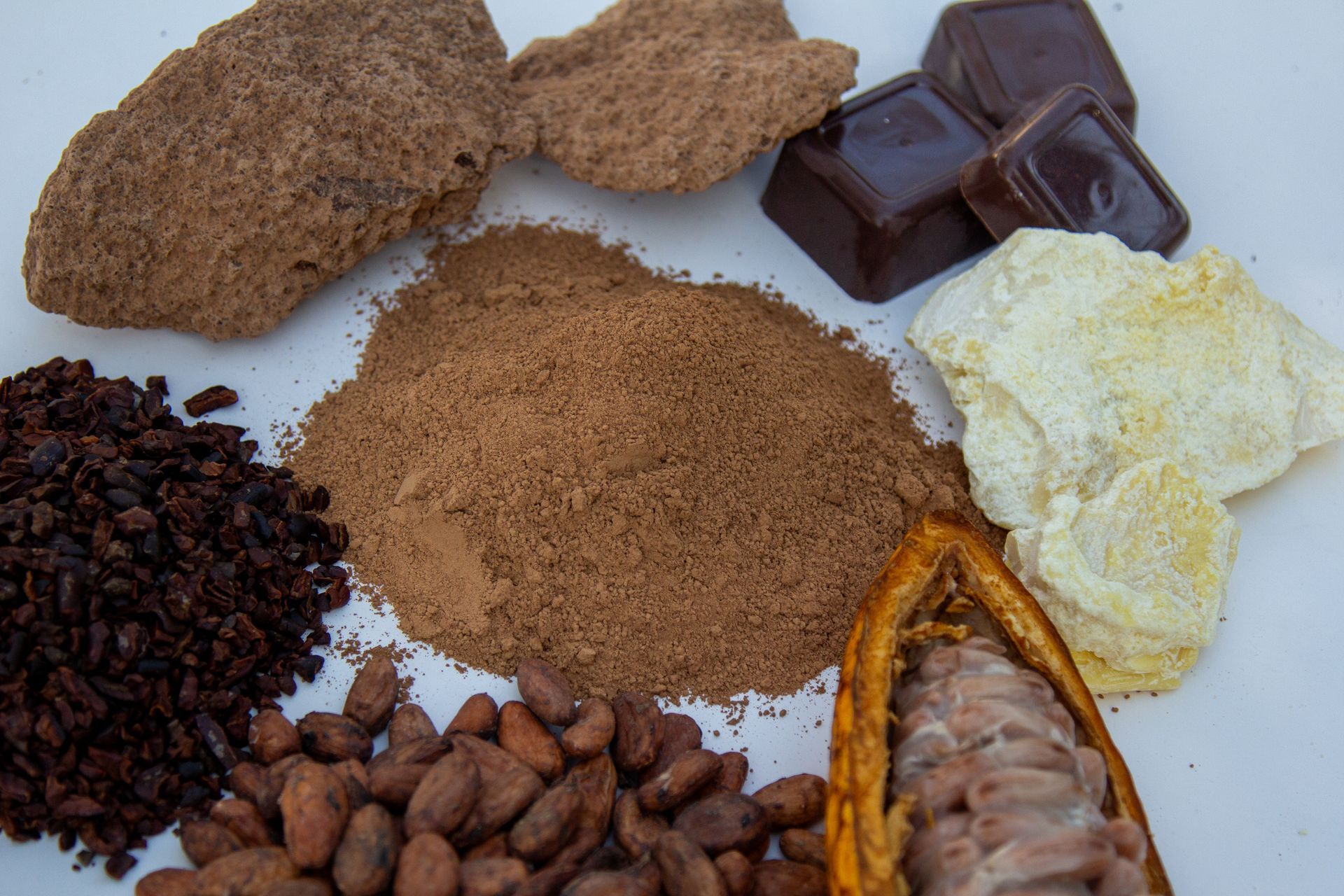 Various types of cocoa beans and chocolate on a white surface