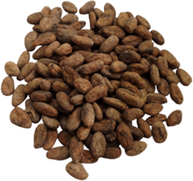 A pile of cocoa beans on a white background