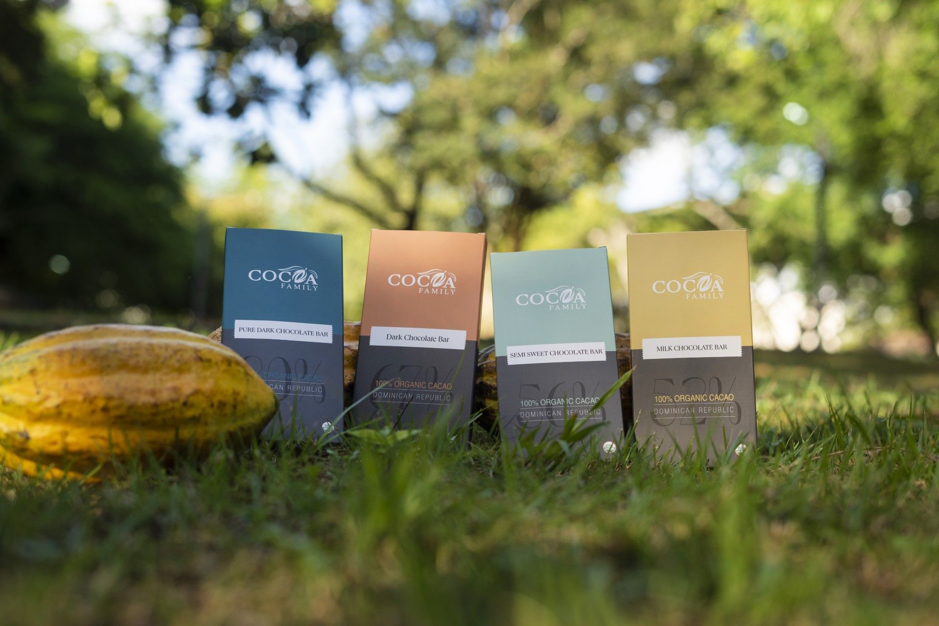 Four boxes of cocoa sit in the grass next to a cocoa pod