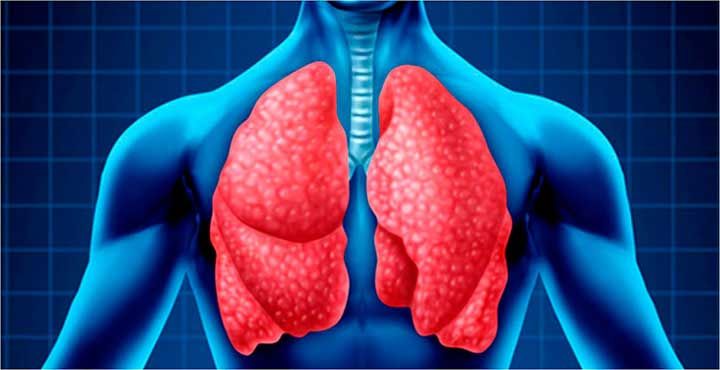 DR. RAFAEL FRANCISCO PÁRAMO ARROYO