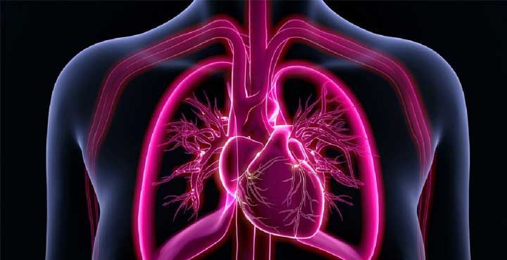 DR. RAFAEL FRANCISCO PÁRAMO ARROYO