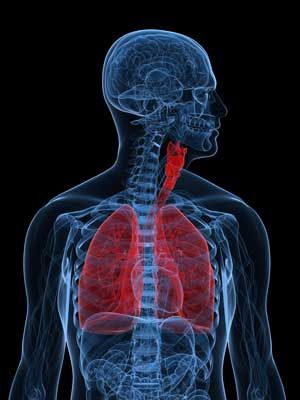 las enfermedades respiratorias, tipos de padecimientos respiratorios, las enfermedades respiratorias
