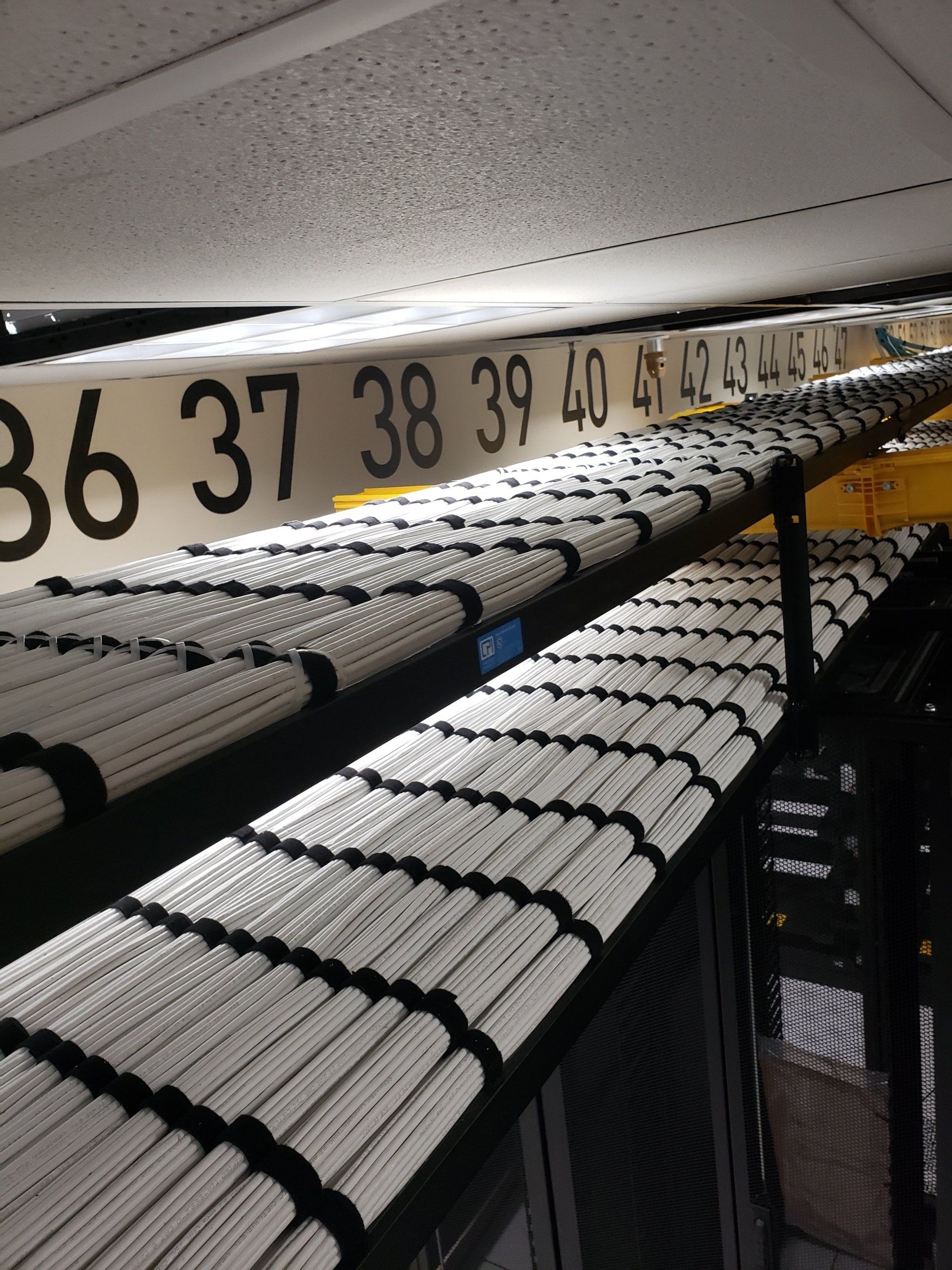 Cat 6 Cabling Picture
