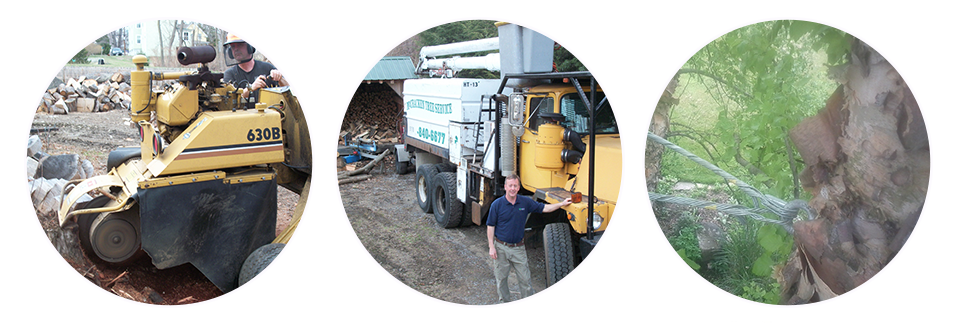 A man is standing next to a bulldozer and a truck.