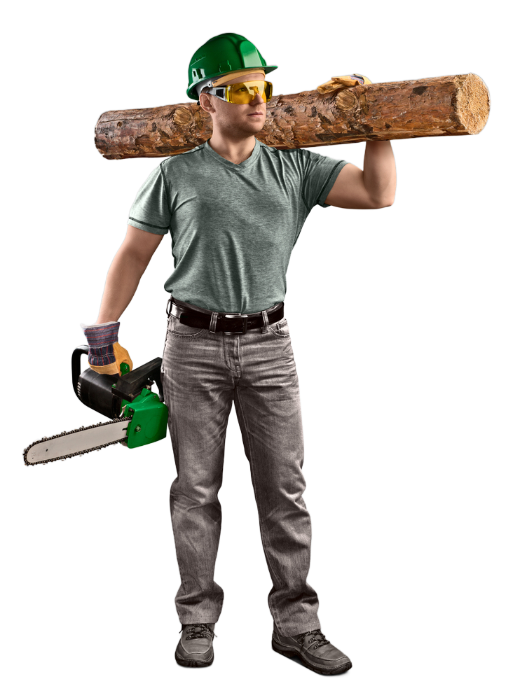 A man is carrying a log and a chainsaw on his shoulder.