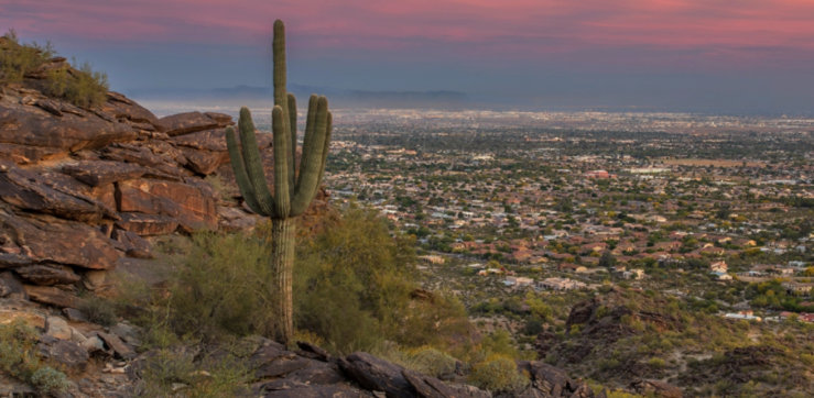 South Mountain picture overlooking the town with a cactus in the forefront