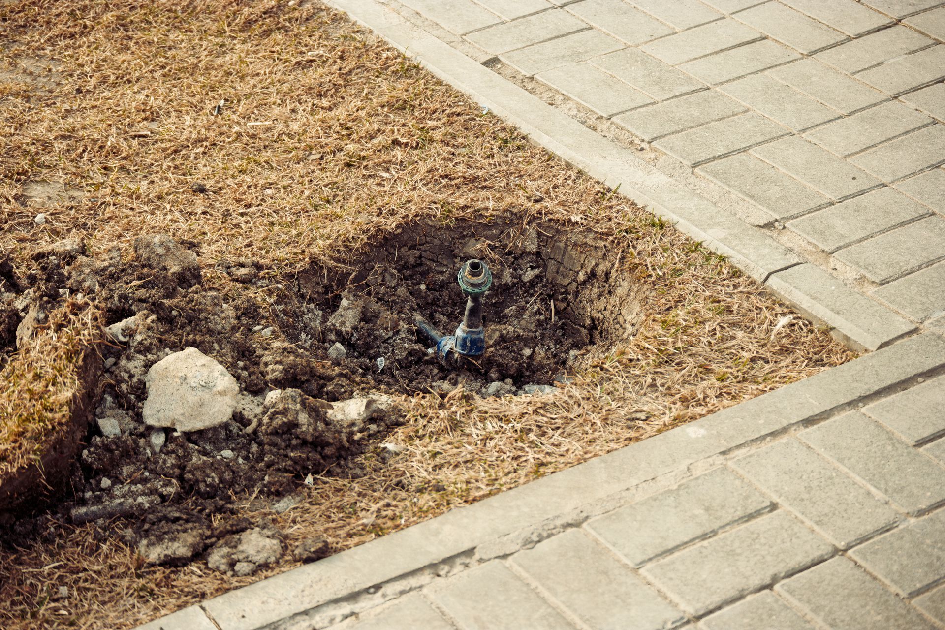 A worn sprinkler head needing to be replaced