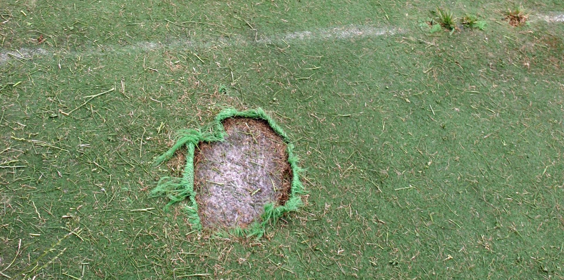 Damaged turf from hard use and neglect