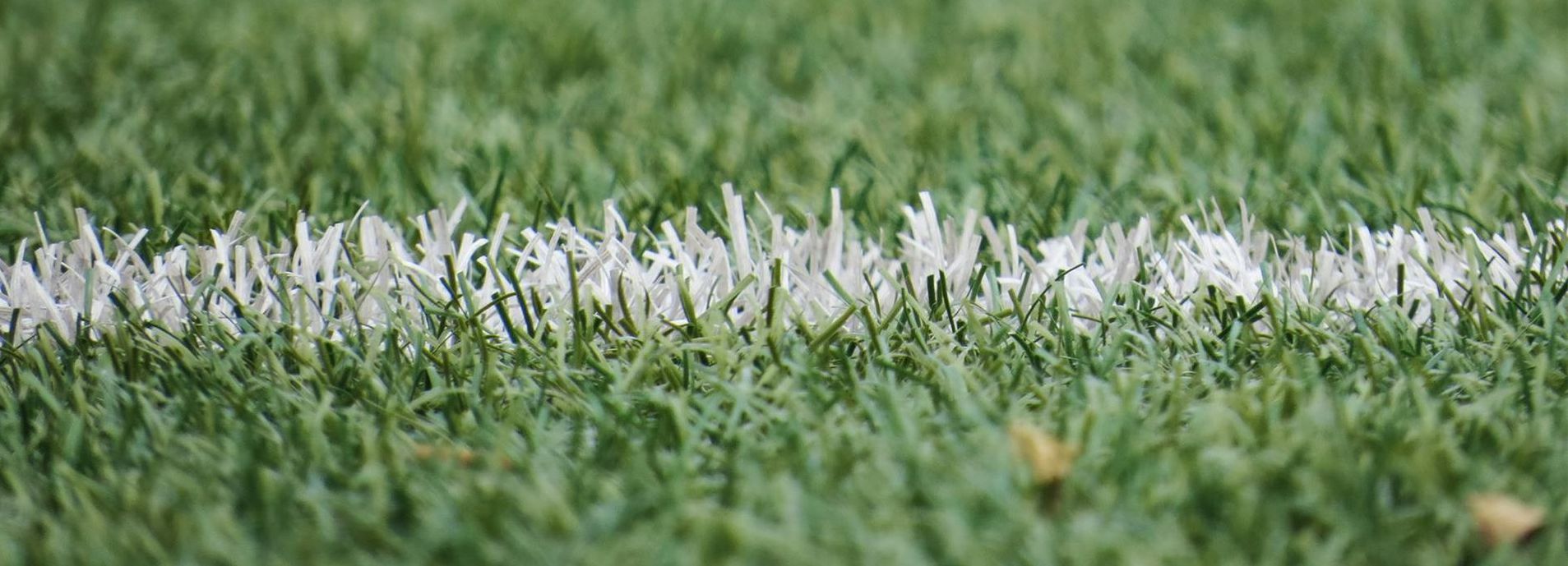 Artificial turf with a white stripe going across it for sports