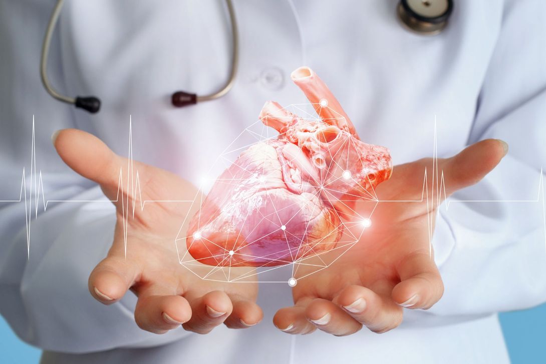 rappresentazione servizi di cardiologia