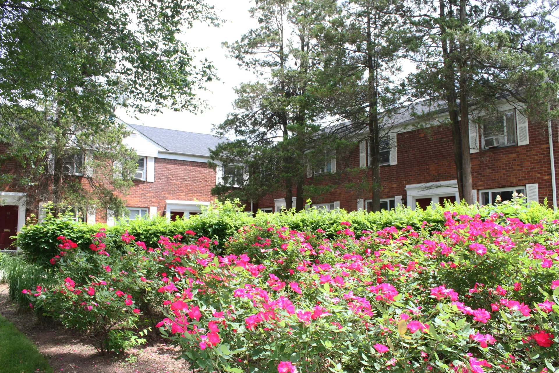 Exterior view of brick apartment buildings with lush landscaping, pink flowers, and tall trees.
