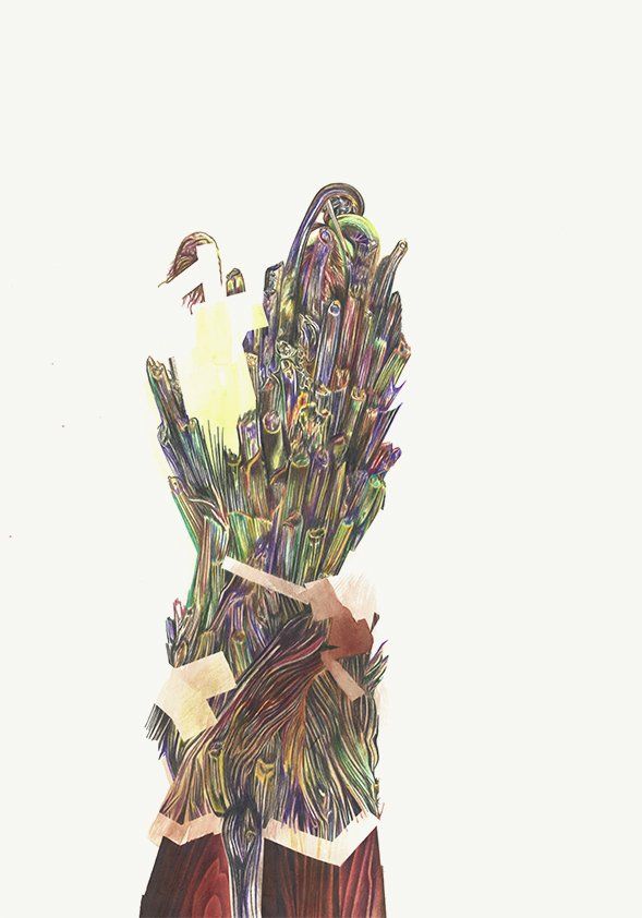 Sandra Opitz – Mikroverknüpfungen