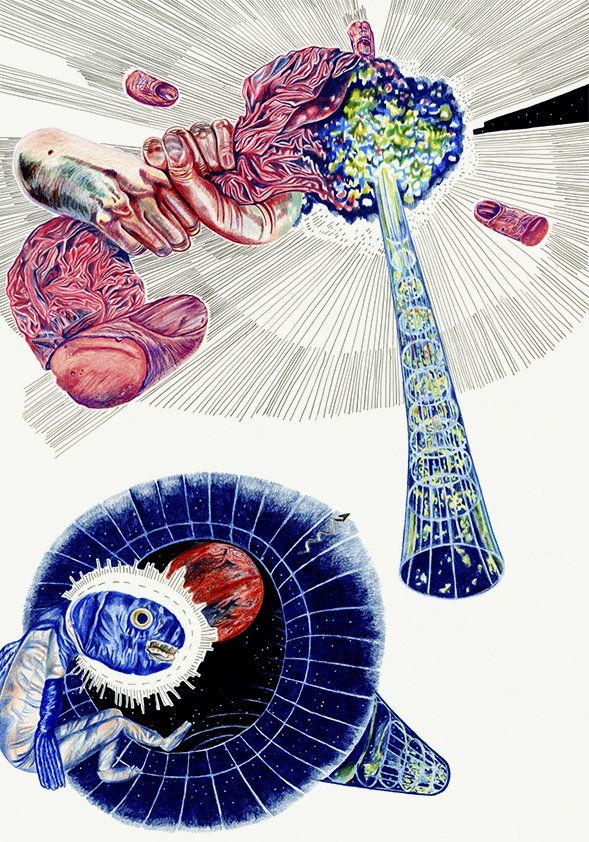 Sandra Opitz – Raumrosa