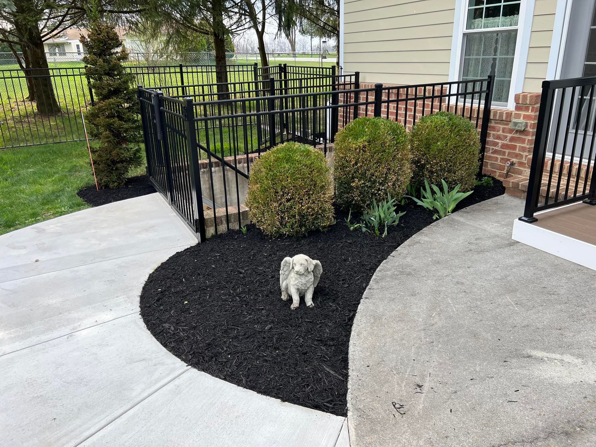 A small dog is standing on a sidewalk in front of a house.