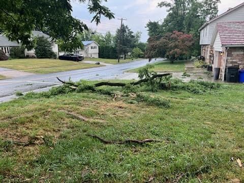 A tree branch is laying in the grass in front of a house.
