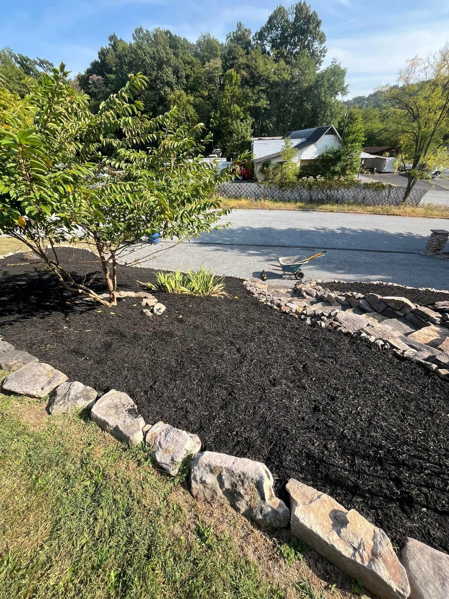 There is a tree in the middle of a yard with rocks and mulch.