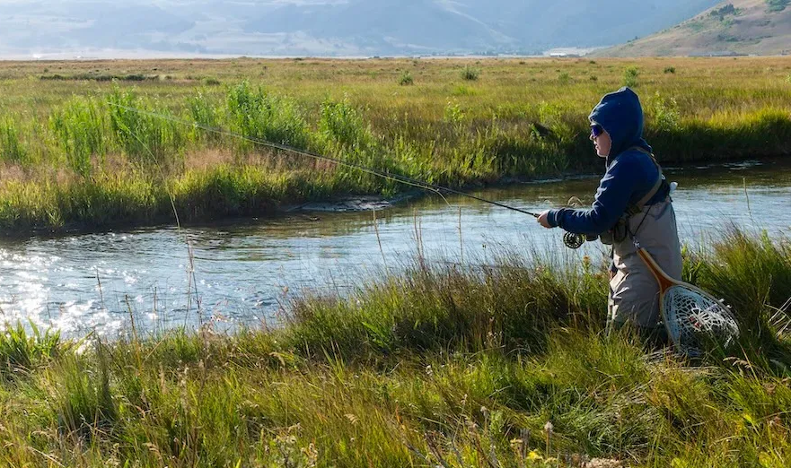 Person in blue jacket fishing by a grassy stream under a clear sky.