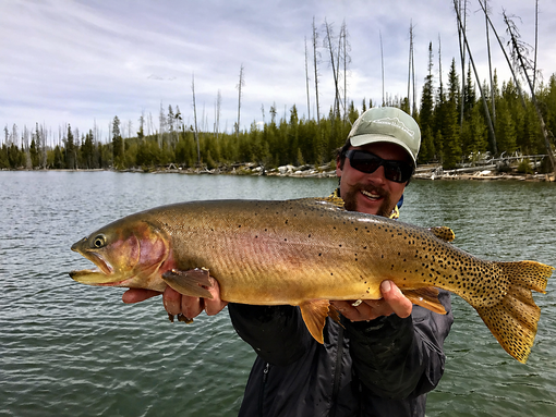 Person holding a large golden trout by a lake with pine trees in the background