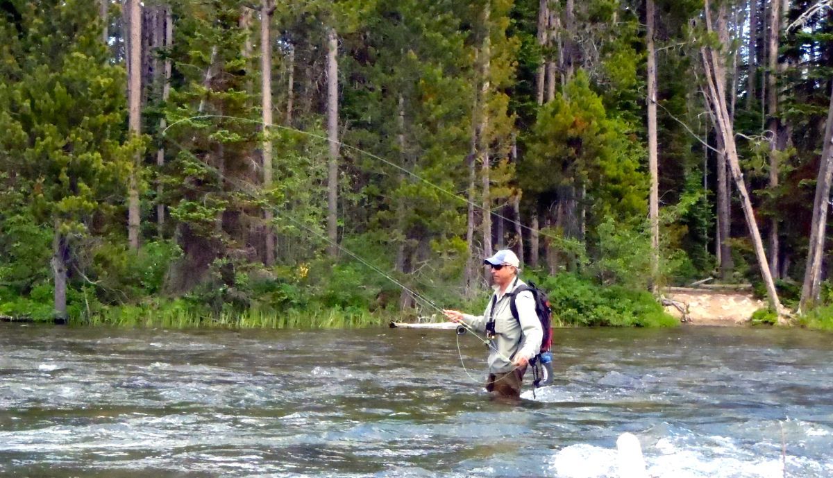 Person fly-fishing in a shallow river with a forested bank in the background