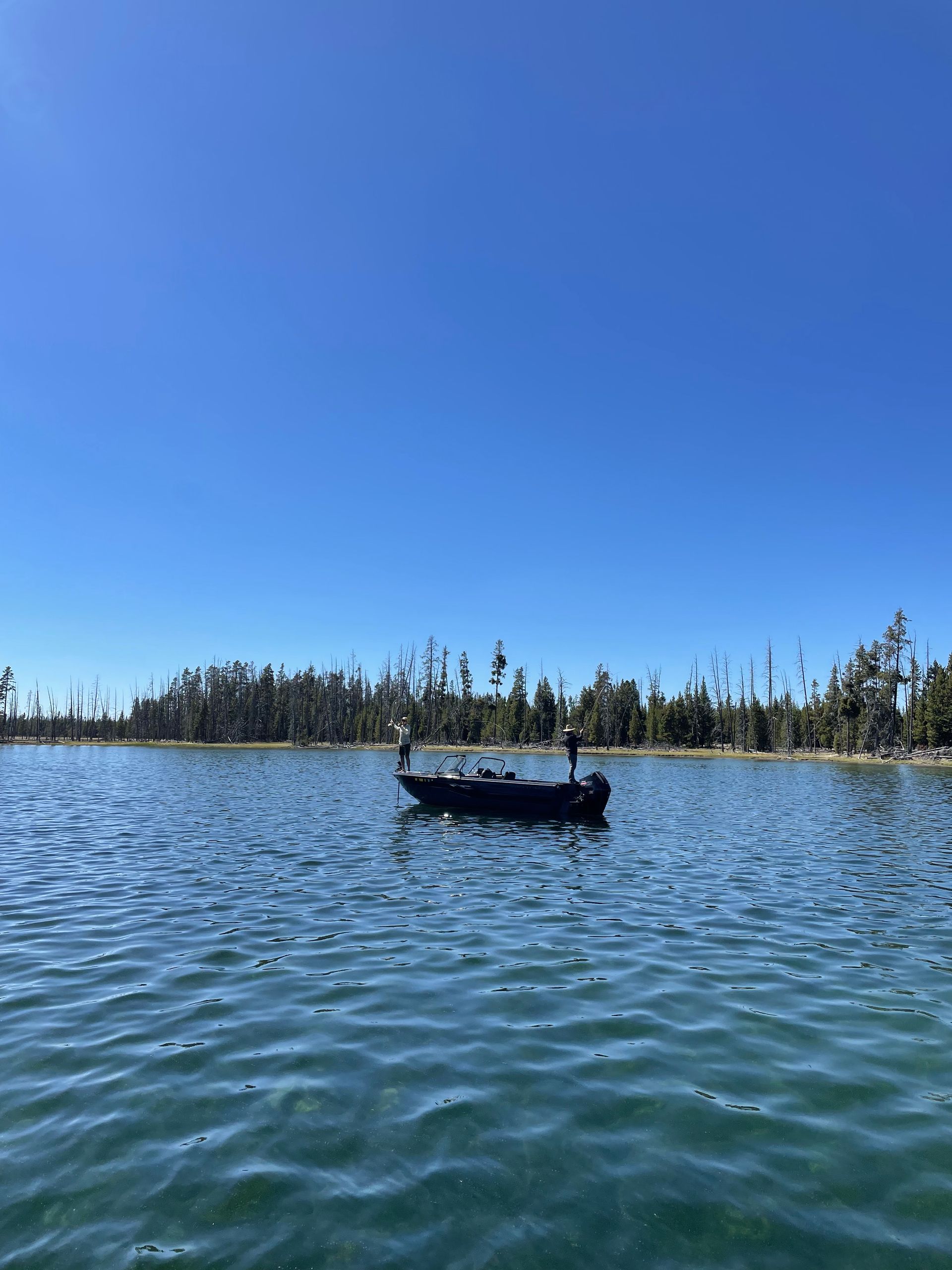 Small boat on a calm blue lake under a clear sky, with a forested shoreline in the distance.