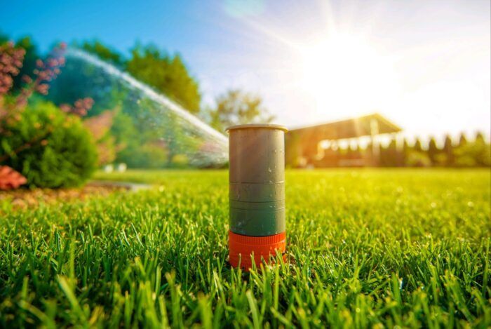 Sprinkler watering green lawn in a sunny backyard with trees and house in the background.