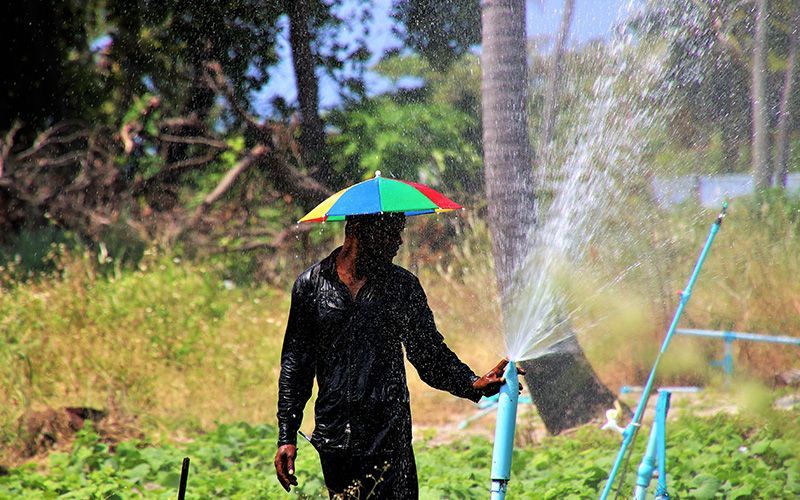 Man in black shirt with rainbow umbrella under sprinkler, outside.