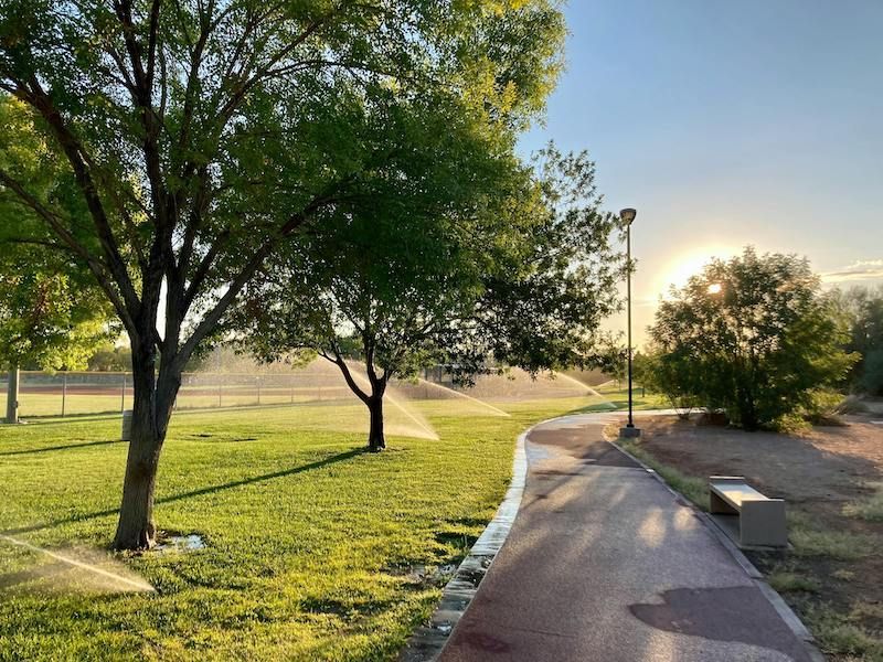 Park pathway with trees, sprinklers, and setting sun. Green grass, wet pavement, and clear sky.
