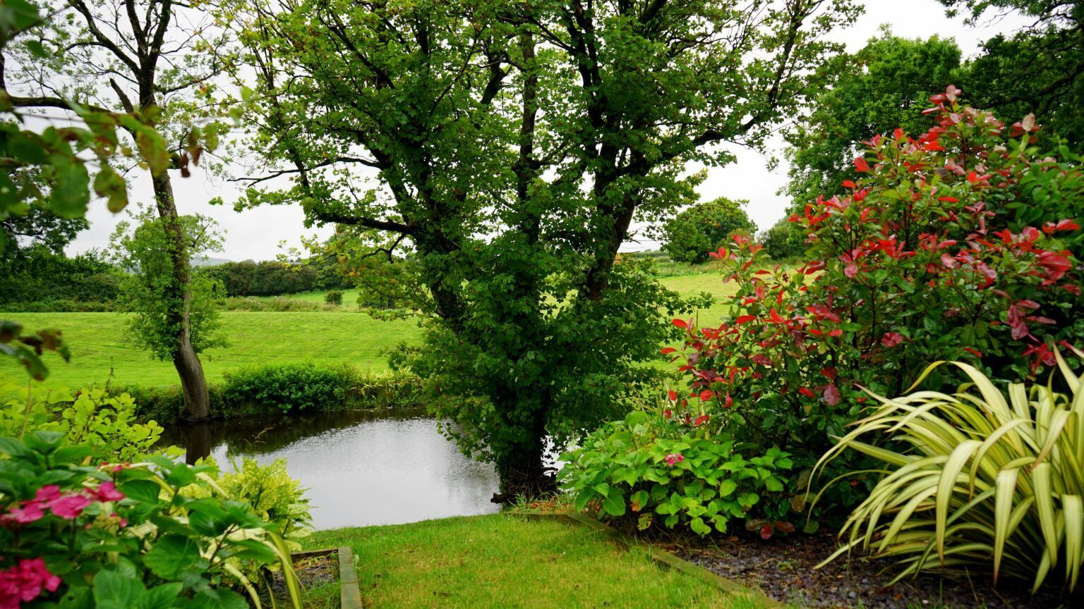 Lush green garden scene with a pond, trees, and colorful bushes.