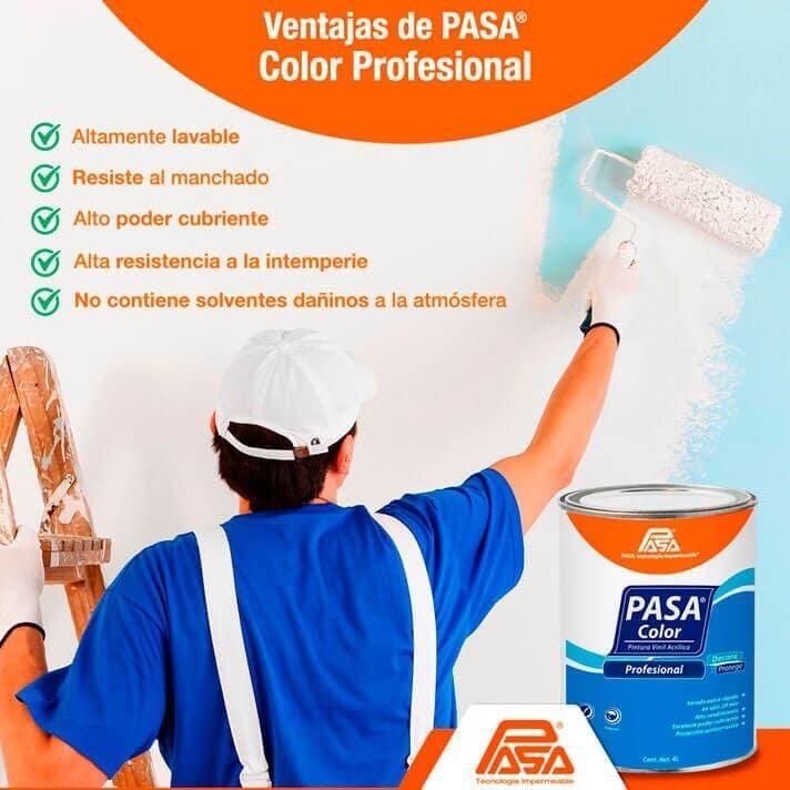 Impermeabilizantes PASA 25 Poniente - COLOR PROFESIONAL
