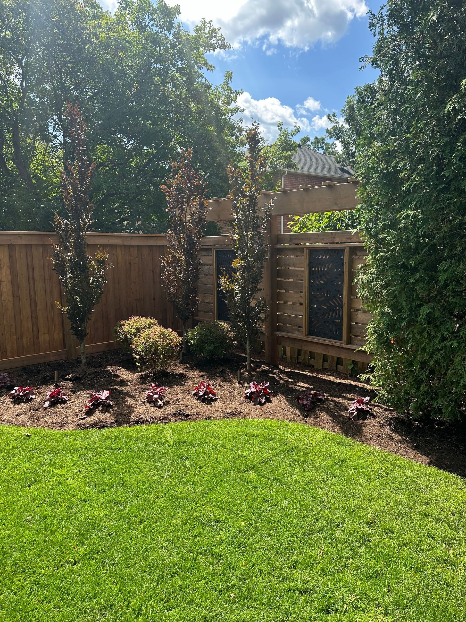 A backyard with a wooden fence and a lush green lawn.