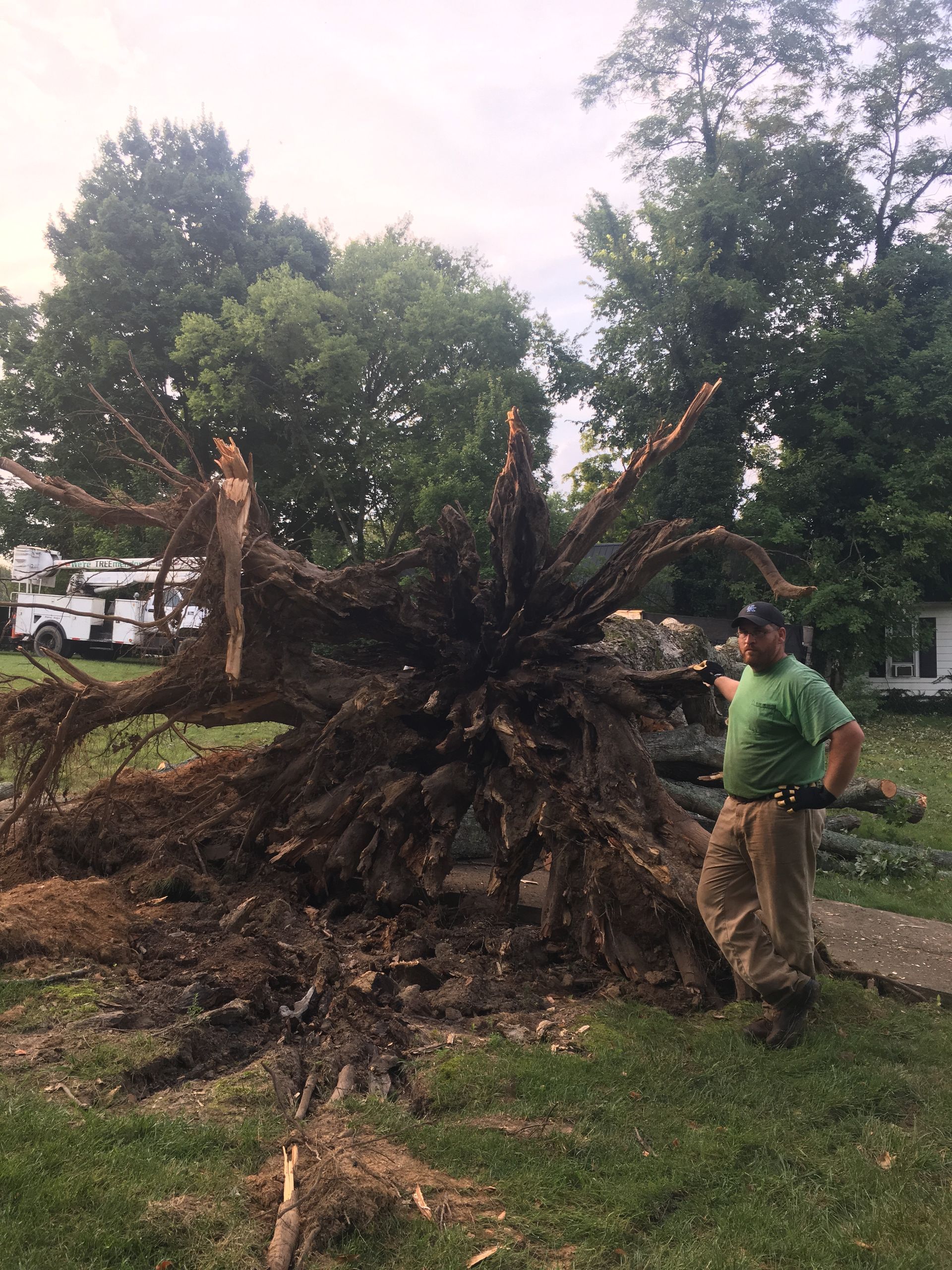 Man Beside The Tree Root — Campbellsville, KY — Ray's Tree Service LLC