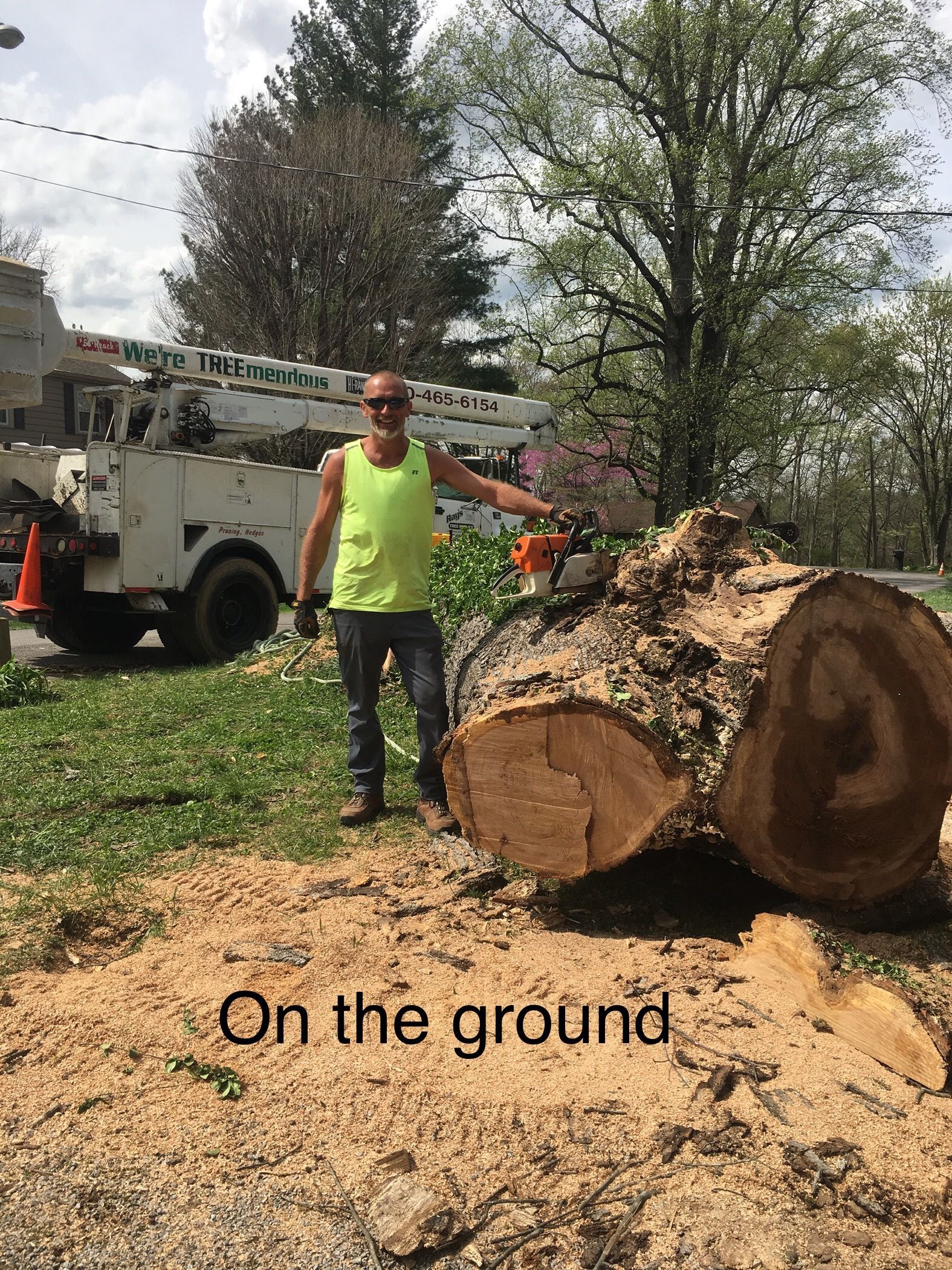 Man Holding Chainsaw Beside The Tree — Campbellsville, KY — Ray's Tree Service LLC