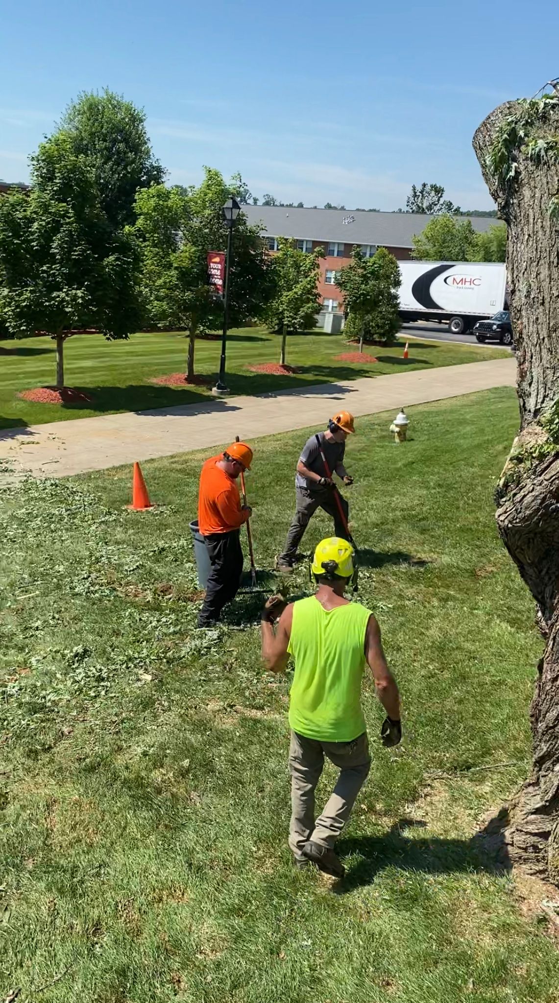Tree Service Team — Campbellsville, KY — Ray's Tree Service LLC