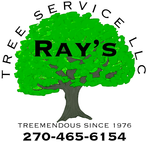 Ray's Tree Service LLC