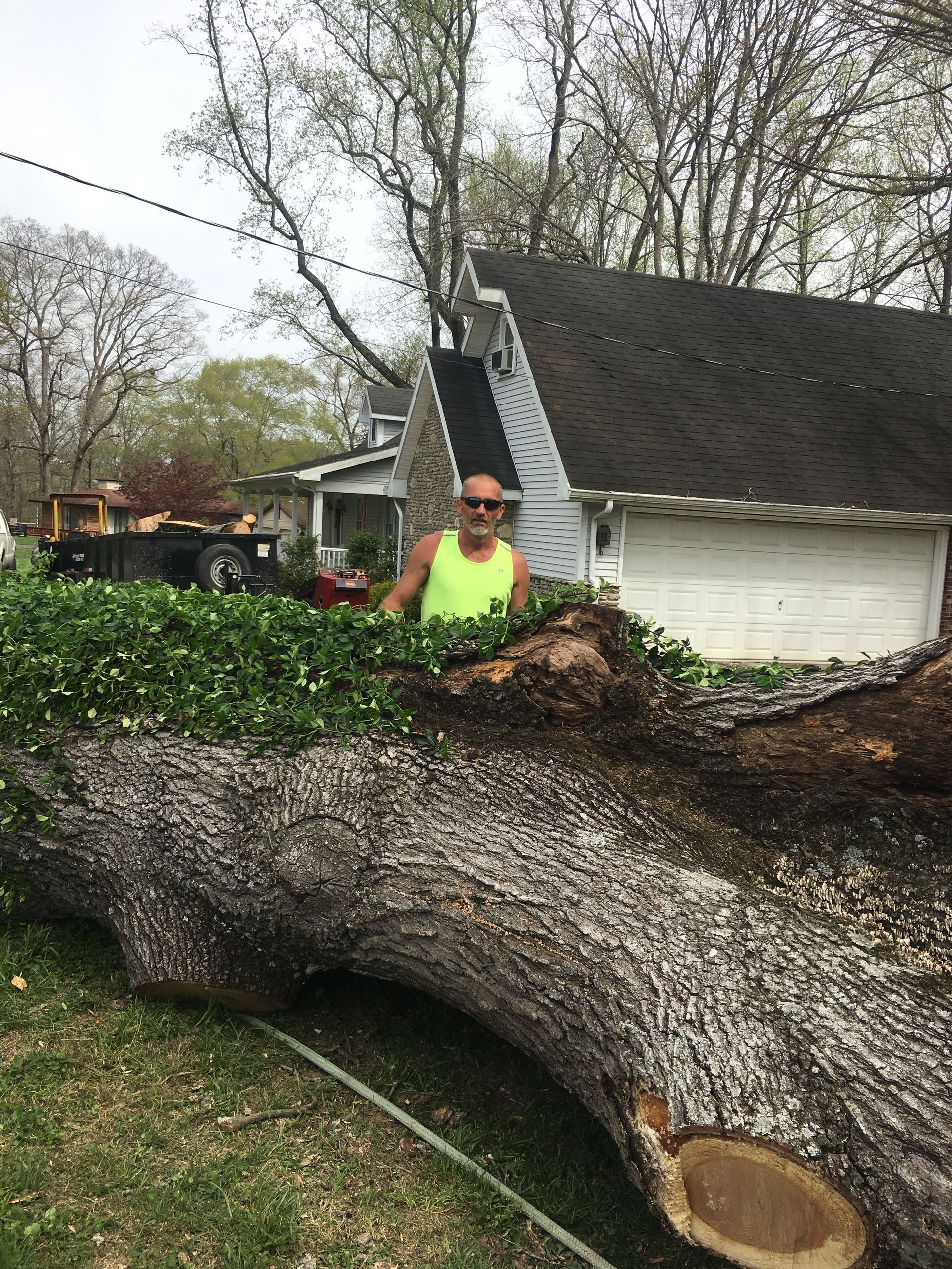 Man Standing Beside The Big Tree — Campbellsville, KY — Ray's Tree Service LLC