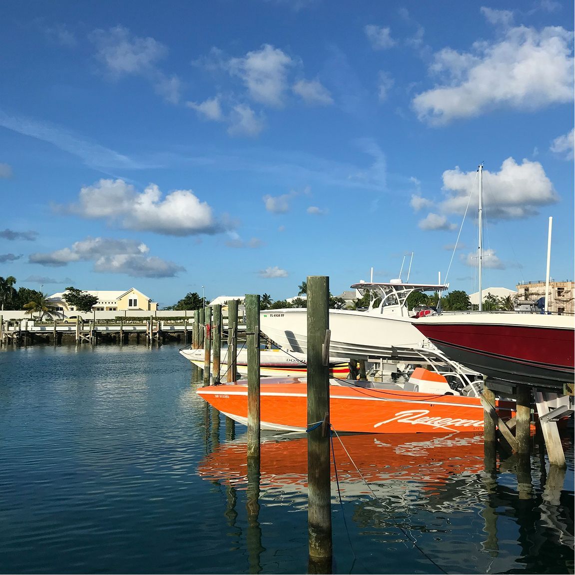 Boats are docked at a dock and one of them has a sticker on it that says ' simpson '