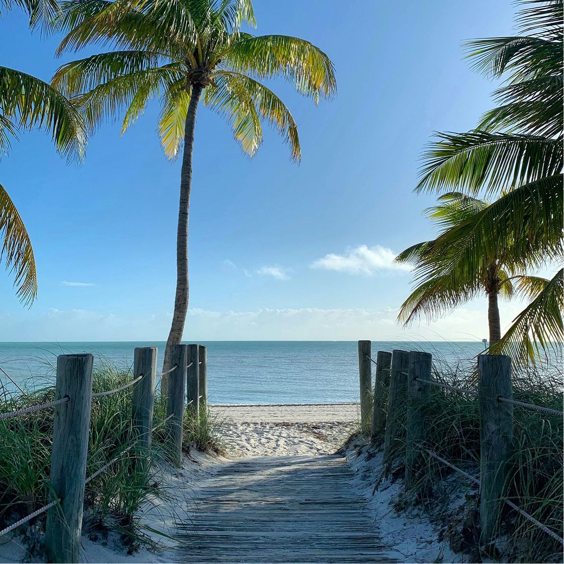 A wooden walkway leading to a beach with palm trees
