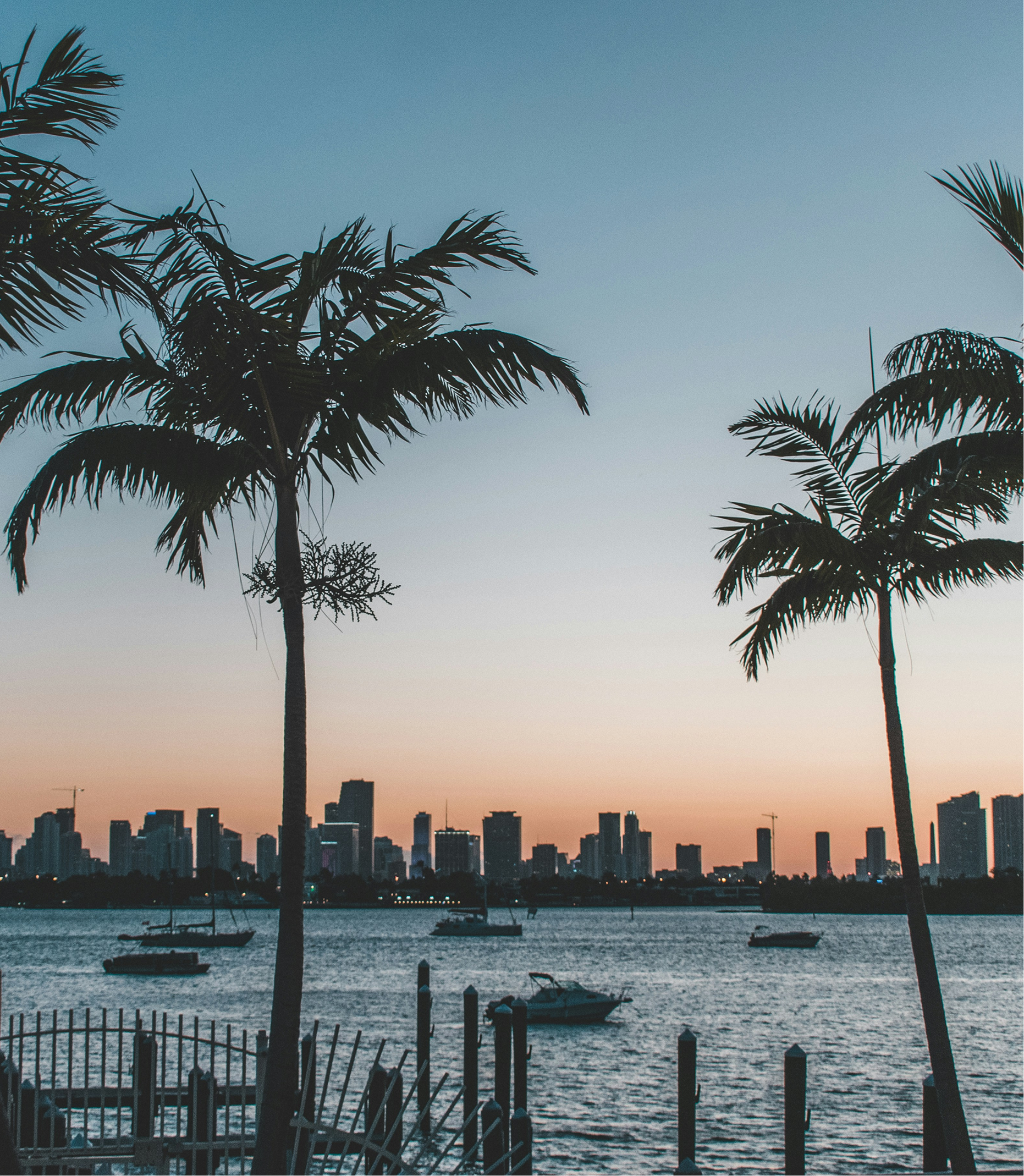 A sunset over a body of water with palm trees in the foreground