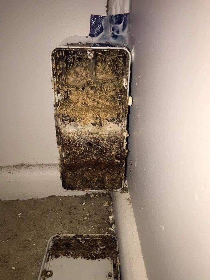 A Dirty Box Is Sitting On The Floor Next To A Wall — Cantips Pest Control in Albury, NSW